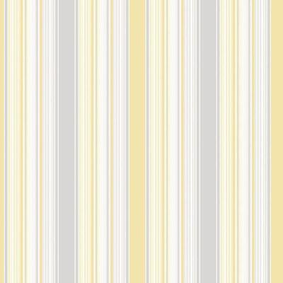 Papel De Parede Smart Stripes 2 Listras Coloridas G67532 - Rolo 10m X 0,53m