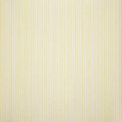 Papel De Parede Fragrant Roses Fa811065 Vinílico - Rolo 10m X 0,53m