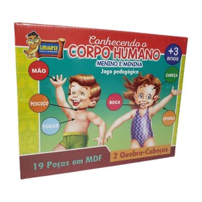 Jogo Pedagógico Conhecendo O Corpo Humano - 19 Peças