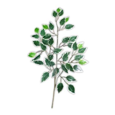 Folha Artificial Ficus Ponta Branca - 60cm