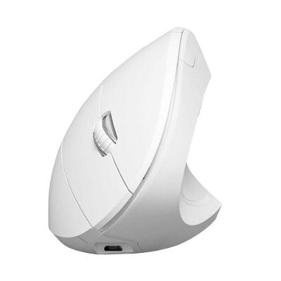 Mouse Sem Fio Recarregável 2.4 Ghz Vertical Ergonomico