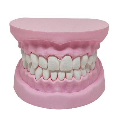 Arcada Dentária Modelo 3d Dente Gengiva Boca Anatomia