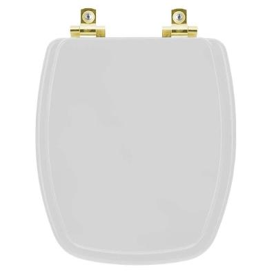 Assento Sanitário Soft Close Stylus Cinza Prata Para Vaso Celite Com Ferragem Dourada
