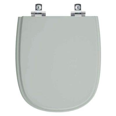 Assento Sanitário Soft Close Donna Verde Claro Para Vaso Santamarina