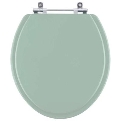 Assento Sanitário Poliester Azaléa Verde Para Louça Celite