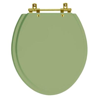 Assento Sanitario Poliéster Convencional Oval Verde Malva Para Vaso Deca Com Ferragem Dourada