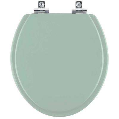 Assento Sanitário Soft Close Evolution Verde Claro Para Vaso Santamarina