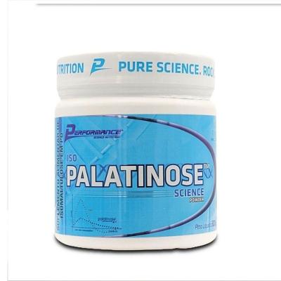 Iso Palatinose 300g