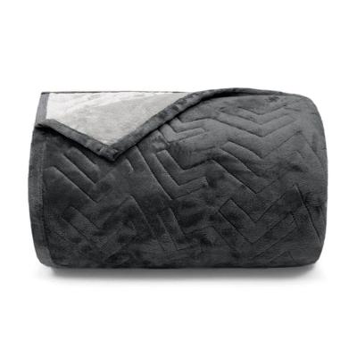 Cobertor Buettner Queen Flannel Plush 100% Poliéster Dupla Face 240mx260m Metal Escuro / Metal Claro