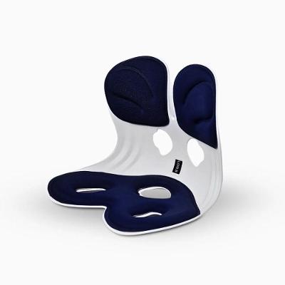 Almofada De Apoio Lombar Cadeira G - Azul