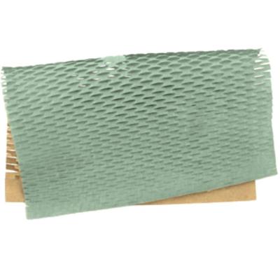 Papel Colméia Liso 50x50cm Sálvia - 10 Un