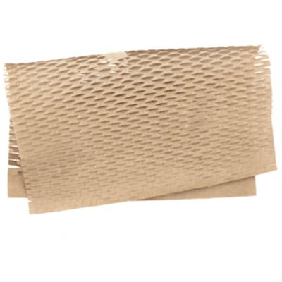 Papel Colméia Liso 50x50cm Kraft - 10 Un