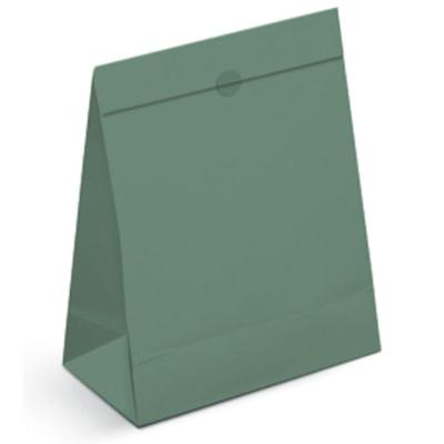 Kit Saco De Papel Para Presente Gg 41x32,5x13cm Nat Green - 10 Un