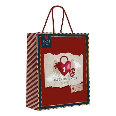 Kit Sacola De Papel Luz M 26x19,5x9,5cm - 10 Un