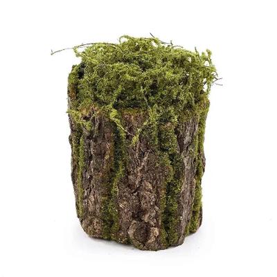 Tronco Decorativo Vertical Musgo-madeira M 18x18x25cm Verde-marrom - 1 Un
