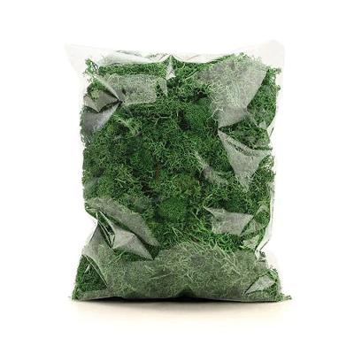 Musgo Decorativo Permanente 250g Verde - 1 Un