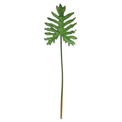 Folhas Decorativas Permanentes - Costela De Adão 89cm Verde - 1 Haste