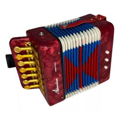 Sanfona Acordeon Infantil 3 Baixos Musica Semiprofissional