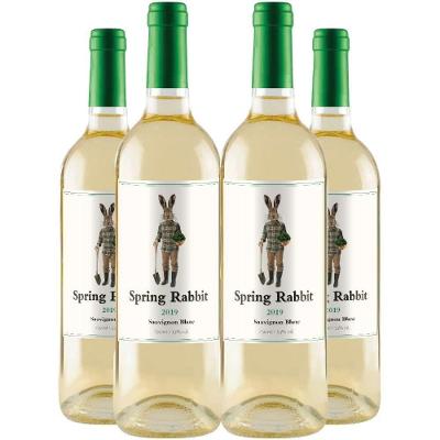 Vinho Branco Spring Rabbit Sauvignon Blanc 750ml Kit 4 Garrafas 750ml