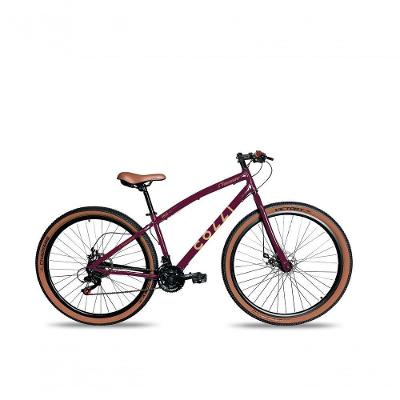 Bicicleta Aro 29 Vancouver 21 Marchas Freio A Disco Colli Roxo