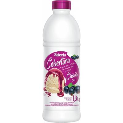 Cobertura Concentrado De Sorvete 1,3Kg Cassis Cassis