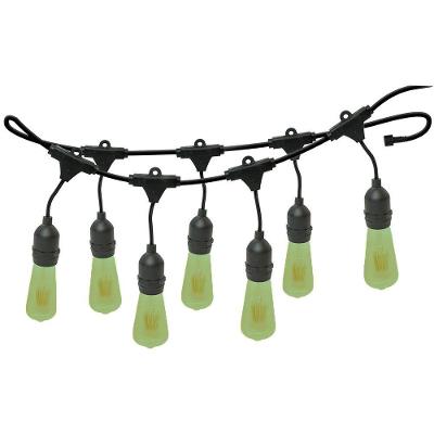 Varal De Luzes 20m Bivolt Com 20 Lâmpadas Verde 127v Foxlux