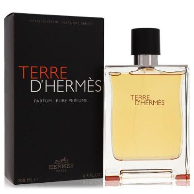 Perfume-Col. Masculino Terre D`hermes Hermes Pure Perfume