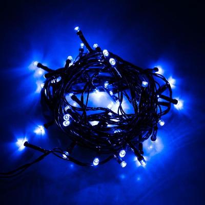 Cordão Com 50 Lampadas De Led Formato Pequena Gota 5 Metros Fio Verde Escuro Azul