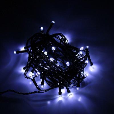 Cordão Com 50 Lampadas De Led Formato Pequena Gota 5 Metros Fio Verde Escuro Branco