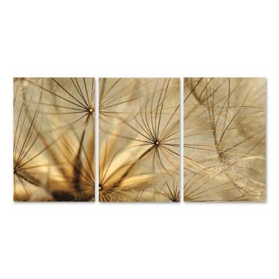 Kit 3 Placas Decorativas Floral Dentes De Leão 20x30 Cm Mdf