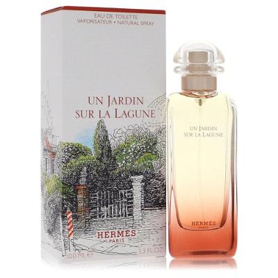 Perfume Feminino Hermes 100 Ml Eau De Toilette Spray