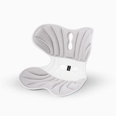 Assento Portátil Ergonômico Suporte De Coluna E Coccíx Escritório, Carro