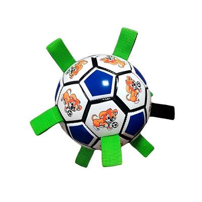 Bola Para Cachorro Mordedor Brinquedo Interativo Pet Azul