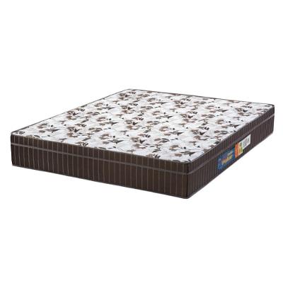 Colchão Casal Queen Espuma Orthoface Polar 158x198x25cm Marrom - Suporta Até 120kg Por Pessoa Marrom