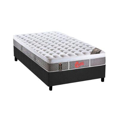 Cama Box Solteiro: Colchão Molas Ensacadas Castor Pocket Gold Star Light Stress Oxygen New Plush + Base CRC Suede Gray(88x188)