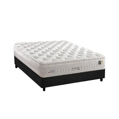 Cama Box Casal: Colchão Molas MasterPocket Ensacadas Anjos   Impressione + Base CRC Suede Gray(138x188)