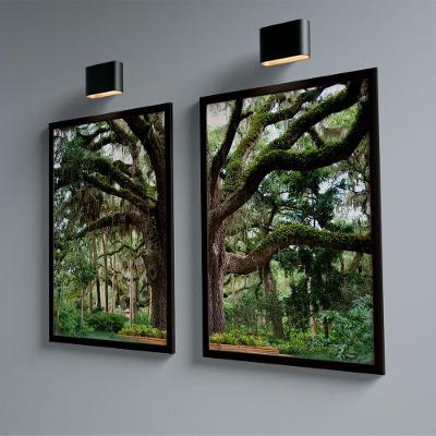 Quadro Decorativo Dupla árvore No Parque