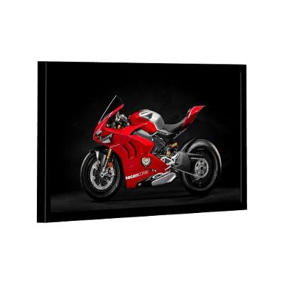 Quadro Ducati Panigale V4 -- Br Artes