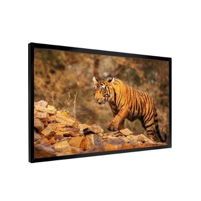 Quadro Tigre Nas Montanhas -- Br Artes