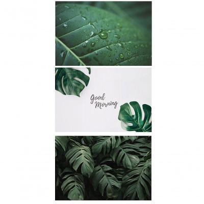 Kit Placas Quadros Decorativos 3 pçs MDF 20x30 Folhas