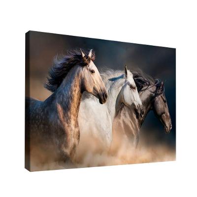 Quadro Cavalos Manada Br Artes Grande 118x78