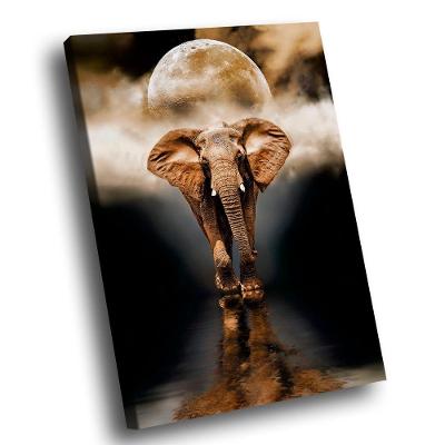 Quadro Elefante Luar Br Artes Médio 84x54