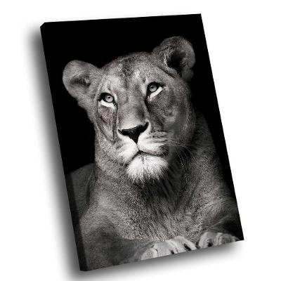 Quadro Leoa No Preto Br Artes Grande 118x78