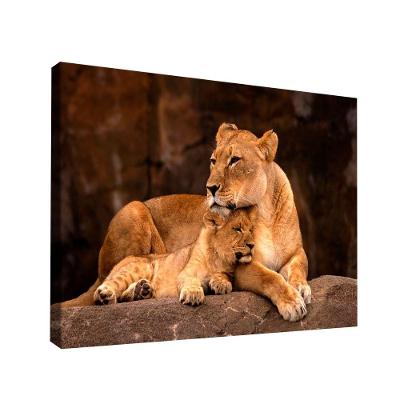Quadro Leoa E Filhote Br Artes Grande 118x78