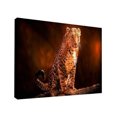 Quadro Leopardo Br Artes Grande 118x78