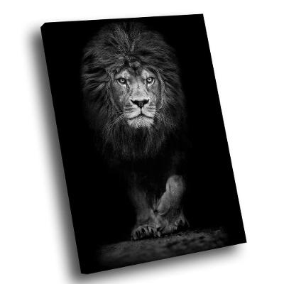 Quadro Leão Assente Pb Br Artes Grande 118x78