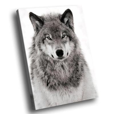 Quadro Lobo Natureza Br Artes Pequeno 60x40