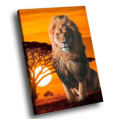 Quadro Lion Summer Br Artes Pequeno 60x40