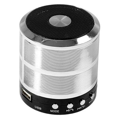 Mini Caixa De Som Speaker Com Bluetooth Usb Ws-887 Prata