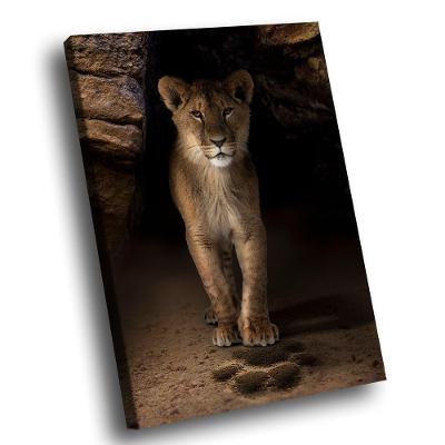 Quadro Rastro Br Artes Pequeno 60x40